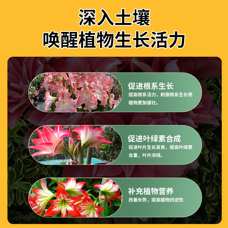 朱顶红肥料专用肥缓释肥重瓣种球植物促开花催花肥盆栽养护颗粒肥,淘宝优惠券,粉丝福利购,淘宝优惠卷