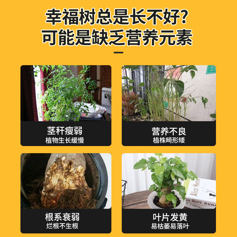 德沃多幸福树肥料专用肥专治黄叶室内绿植养花肥氮磷钾缓释复合肥 - 图0