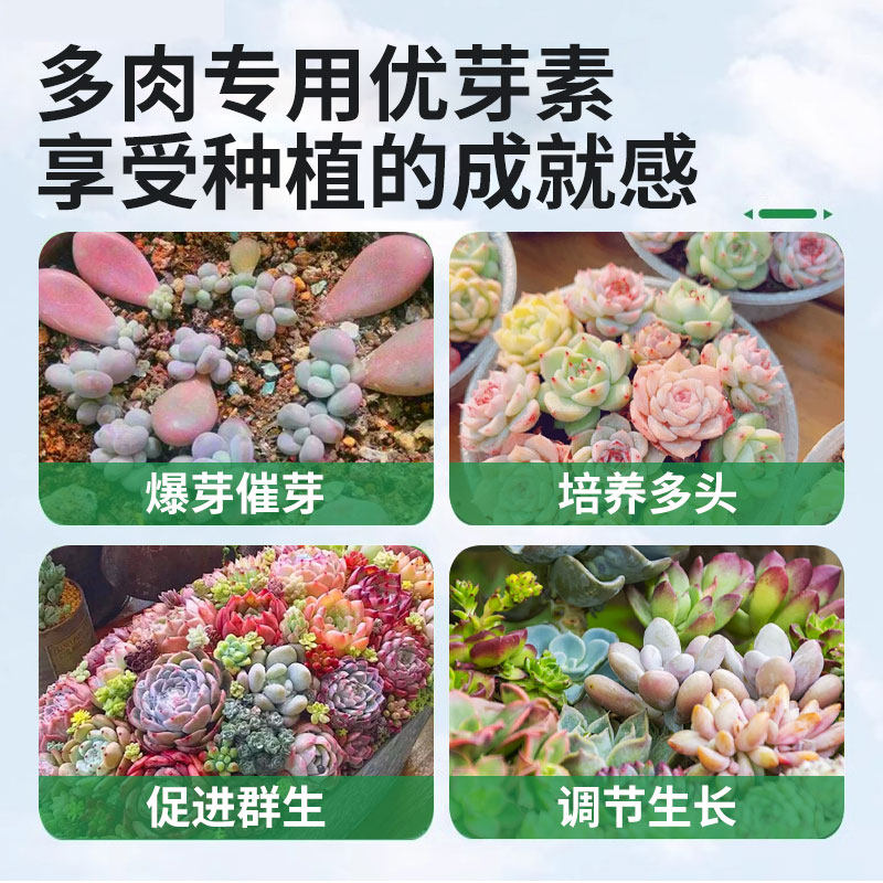 优芽素多肉专用肥营养液肥料促芽生根爆芽素矮胖素三角梅植物通用,淘宝优惠券,粉丝福利购,淘宝优惠卷