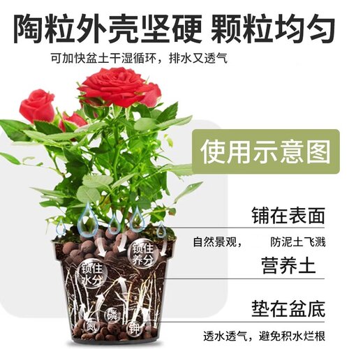 陶粒垫底养花专用多肉营养土花盆铺面彩色颗粒卫生间回填鱼缸水培 - 图3
