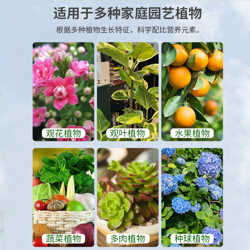 营养液植物通用型花肥料室内发财树绿萝富贵竹专用免稀释花卉盆栽 - 图2