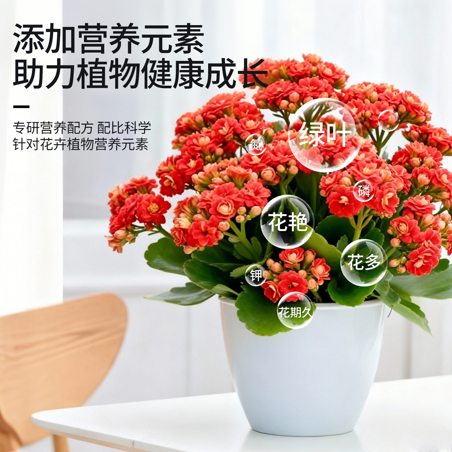 适合各种花的营养液盆栽花卉植物营养液室内通用花肥水溶性复合肥,淘宝优惠券,粉丝福利购,淘宝优惠卷