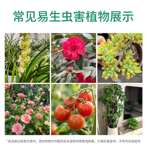 花卉植物杀虫剂通用呋虫胺花药蚜虫蚧壳虫室内多肉月季蔬菜专用药 - 图2
