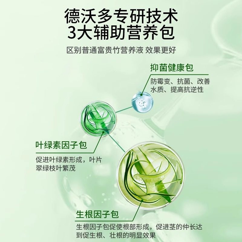 富贵竹专用营养液治黄叶观音竹转运竹文昌竹家用水培植物通用肥料,淘宝优惠券,粉丝福利购,淘宝优惠卷