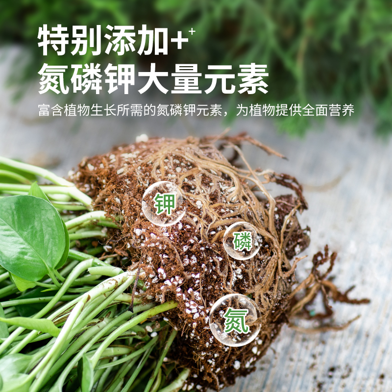 营养土养花通用种菜专用土壤进口泥炭土种植花土家用盆栽植物肥料 - 图2