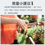 Avi Hochloro Pentist Flower Plant