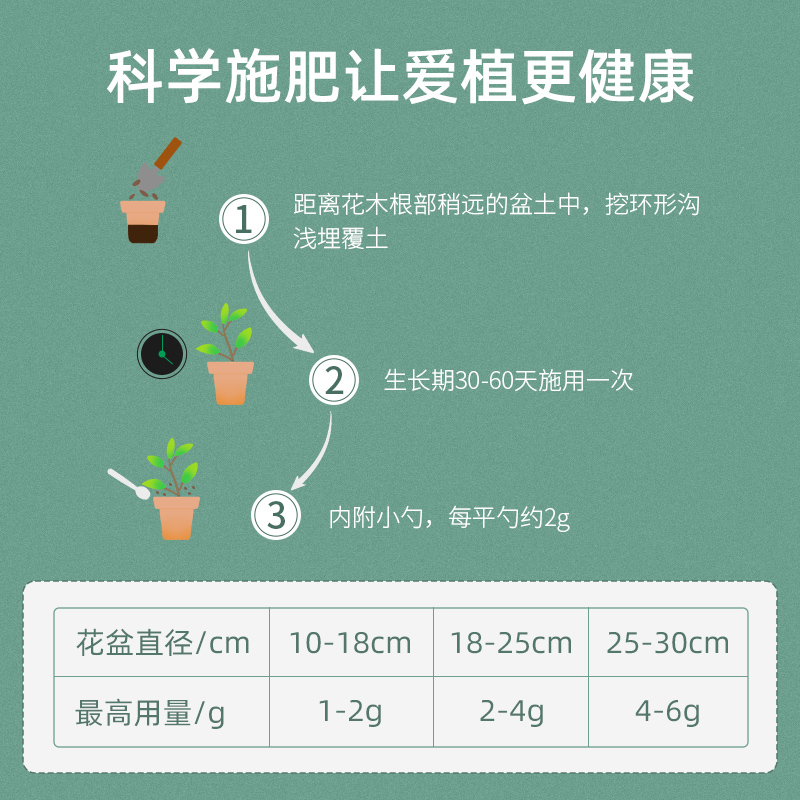 文竹肥料盆栽植物养花通用花肥料室内竹科专用肥料盆景治叶子发黄 - 图3