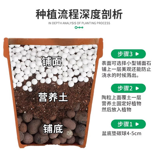 铺面石多肉专用颗粒土植物营养土花盆栽透气麦饭石陶粒火山石蛭石 - 图0