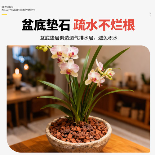 火山石颗粒兰花专用养花盆栽植物兰科蝴蝶兰铺面垫底植料原生岩石 - 图0