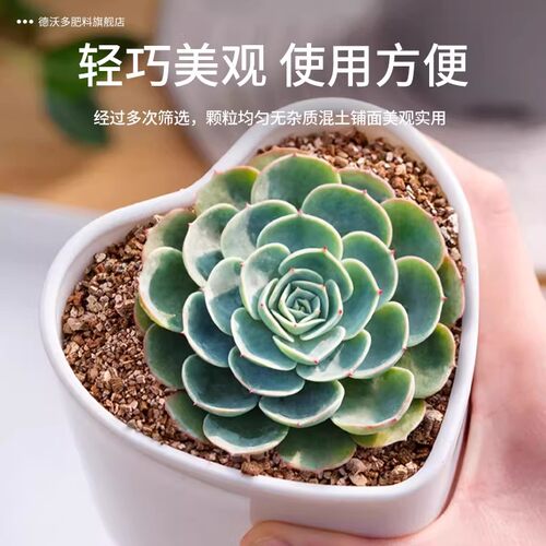 蛭石扦插用养花专用颗粒爬宠乌龟蛋孵化育苗基质月季种植营养土壤 - 图3
