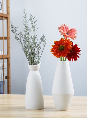 北欧白色陶瓷干花水养花瓶简约创意家居客厅插花摆件摆设道具