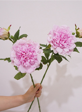 高品质手感保湿牡丹芍药室内家居装饰花艺新中式插花摆件摄影道具