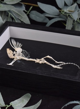 小天使异兽骨骼标本挂饰摆件精灵