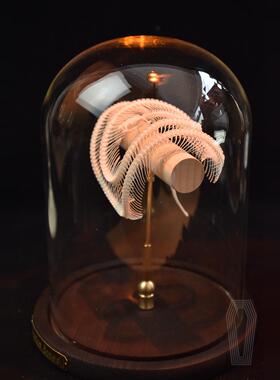 玻璃罩款造型ins风教学骨骼标本