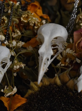 项链骨头饰品配件暗黑哥特