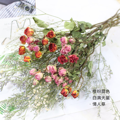 小玫瑰真干花花束情人草家居装饰拍照道具满天星多头蔷薇清新ins - 图0