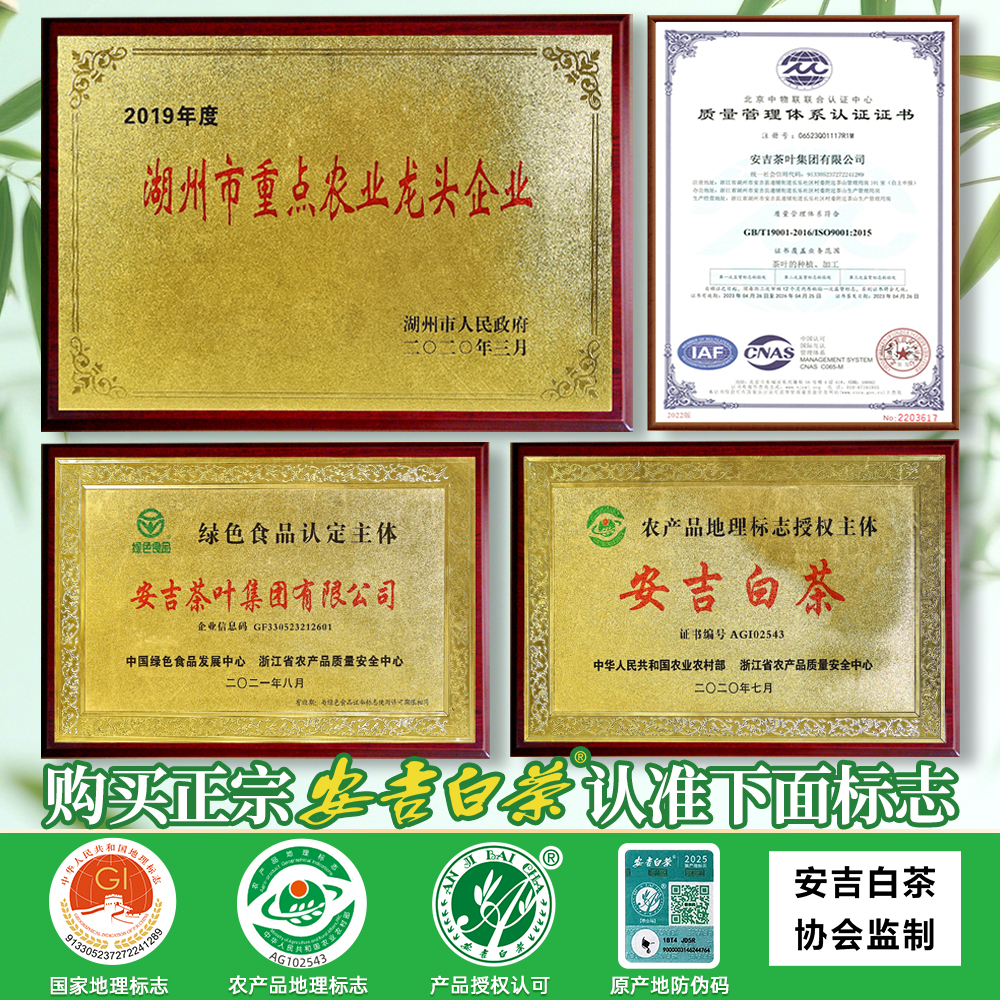 2025新茶竹乡安吉白茶一级250g散袋装雨前浓香绿茶官方旗舰店口粮 - 图0