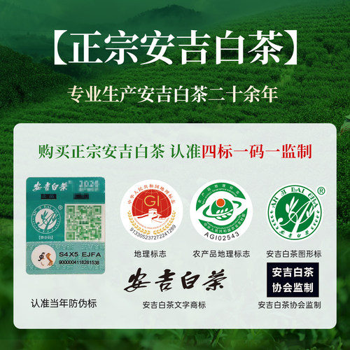 安吉白茶2026新茶一级250g散袋装自己喝绿茶官方旗舰店正品春绿茶 - 图0