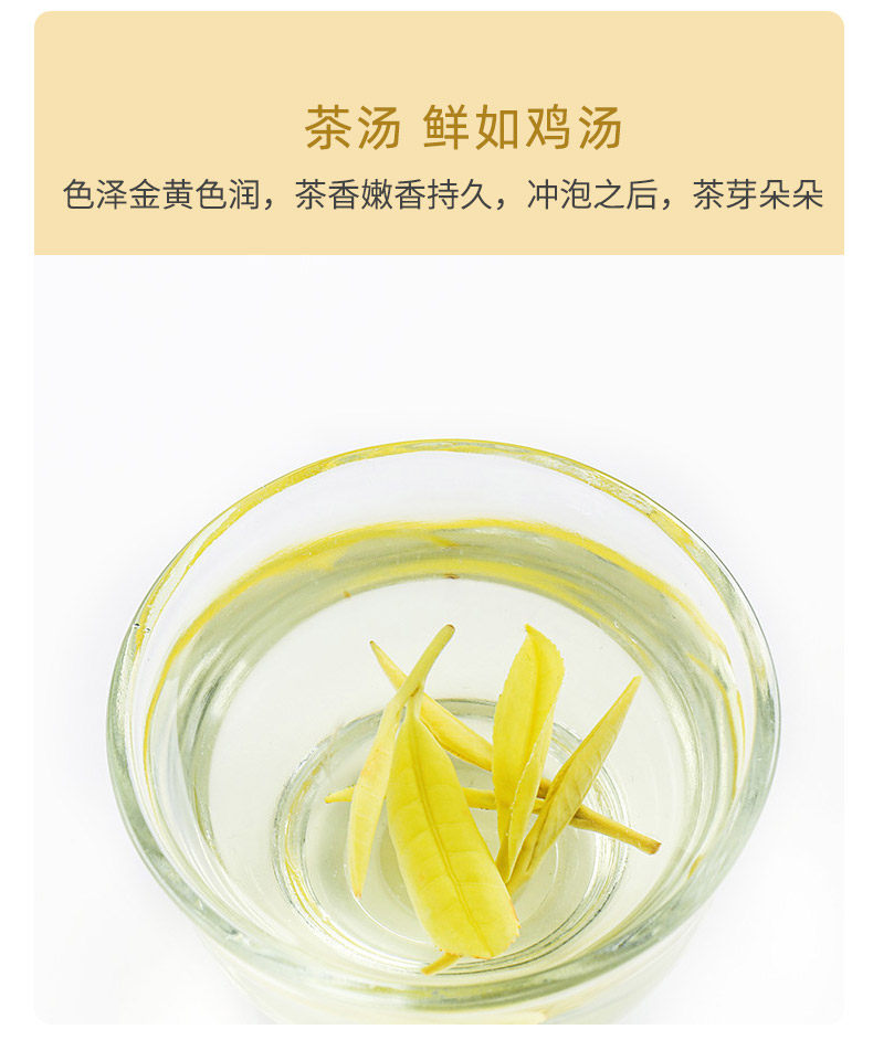 2022年新茶上市雨前一级黄金芽茶叶 安吉白茶奥创安吉白茶