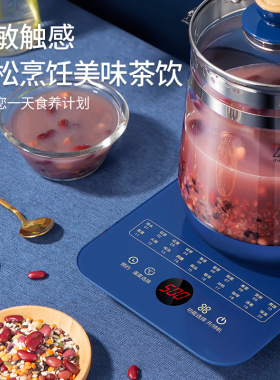 养生壶多功能煮茶器玻璃办公室