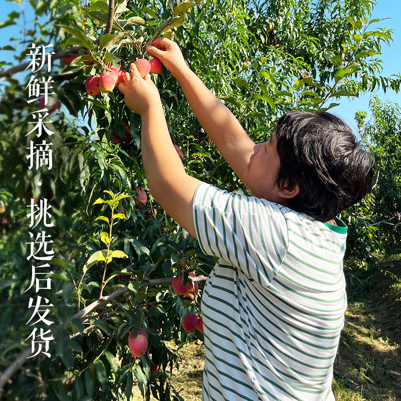图4