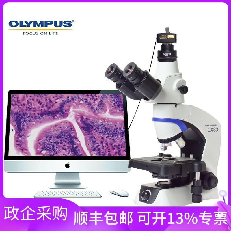 奥林巴斯显微镜CX33生物教学专业医学科研养殖水质农林畜牧业精卵 - 图2