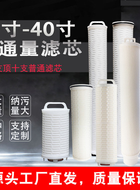 40寸大通量滤芯3M款颇尔款派克5u保安过滤器滤芯大流量滤芯折叠膜