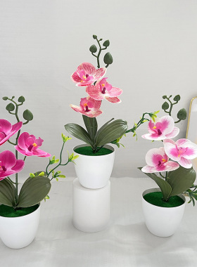 3D胶片仿真花手感仿真蝴蝶兰人造植物办公家居桌面装饰摆件盆栽
