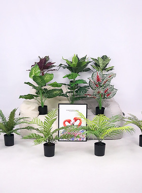 仿真绿萝盆栽绿植套装塑料花家居室内客厅茶几绿叶阳台装饰品摆件