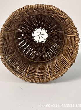塑藤花瓶手工编织客厅插花瓶橱柜干花摆件拍照装饰道具水培器皿