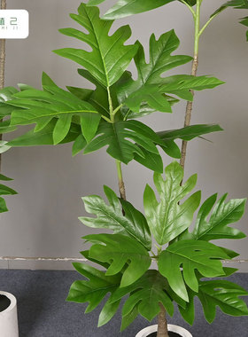 仿真绿植面包树大型景观落地摆件植物树家居室内商场装饰盆栽树