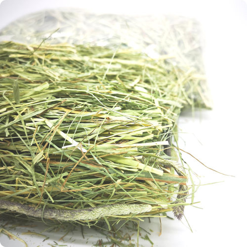 静静二番加拿大洛基山雪山提摩西干草兔子荷兰猪龙猫主食10袋包邮 - 图1