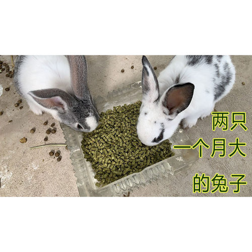 混合草颗粒营养兔粮适合幼成年兔子龙猫羊驼食草类动物草饲料五斤 - 图1