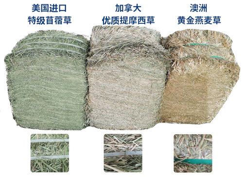 混合草颗粒营养兔粮适合幼成年兔子龙猫羊驼食草类动物草饲料五斤 - 图2