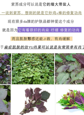 紫苏韩国晒后保湿片装面膜