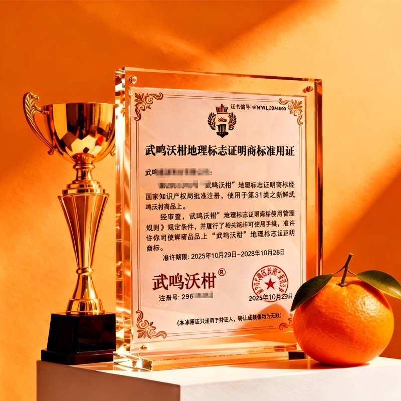 正宗广西武鸣沃柑橘子斤新鲜水果整箱柑橘现摘10沙糖蜜橘砂糖大果,淘宝优惠券,粉丝福利购,淘宝优惠卷