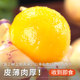 Yunnan Stone Forest Ginseng Fruit Yellow-Fleshed Round Fruit