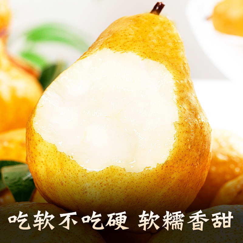 烟台中华丑梨山东莱阳佛手太婆大头梨新鲜水果当季年货水果送礼