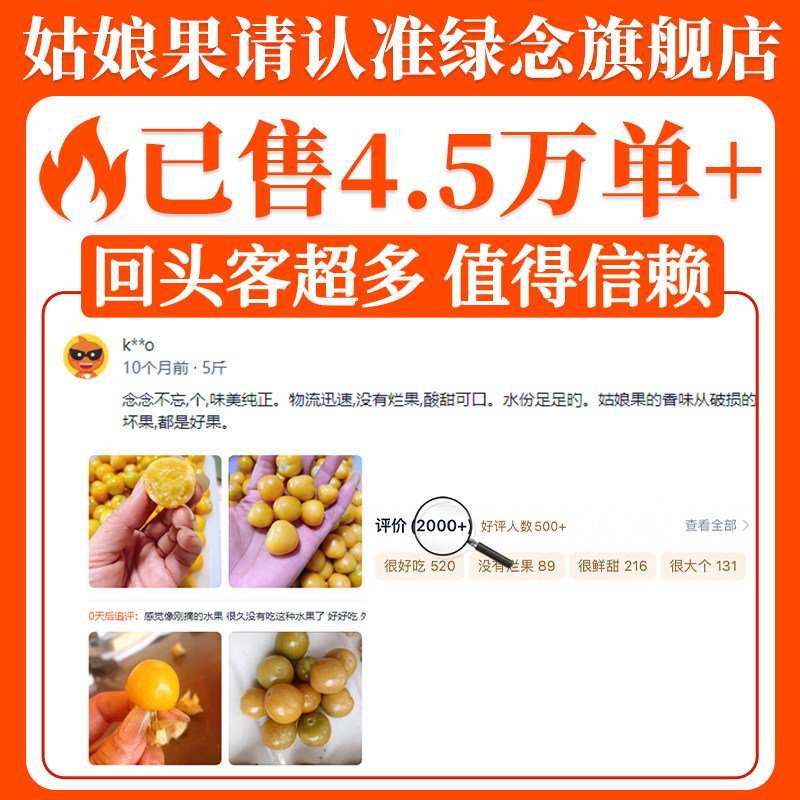 顺丰东北姑娘果5斤大果新鲜当季水果整箱特产灯笼果小金豆甜菇娘
