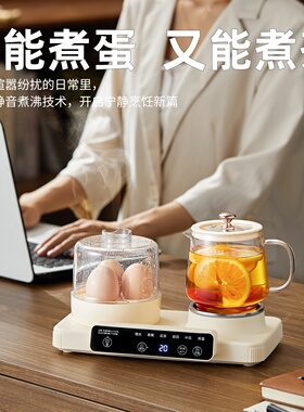 一人份早餐神器炖煮一体养生壶