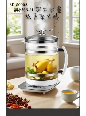 5L超大容量养生壶煎药壶预约定时