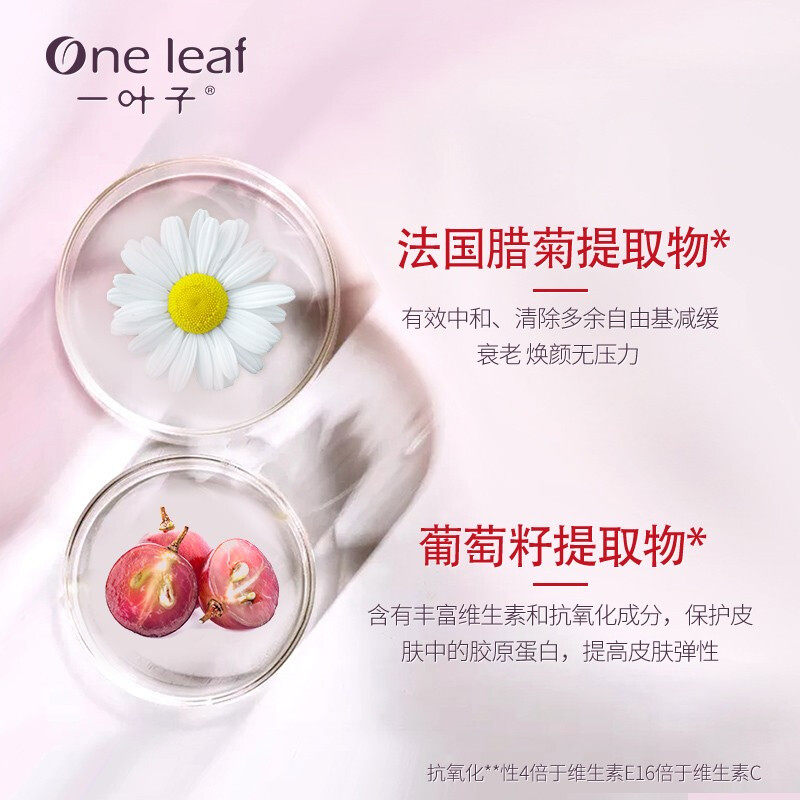  一叶子雅印面部护理套装