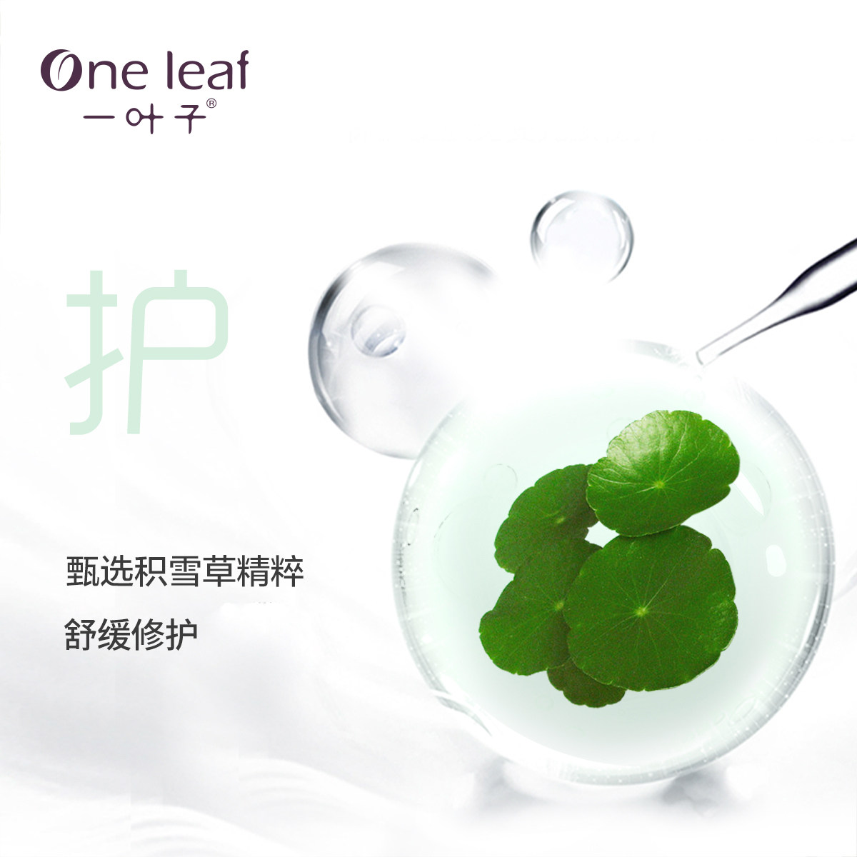 一叶子积雪草舒缓修护洁颜泡洁面乳 一叶子雅印洁面