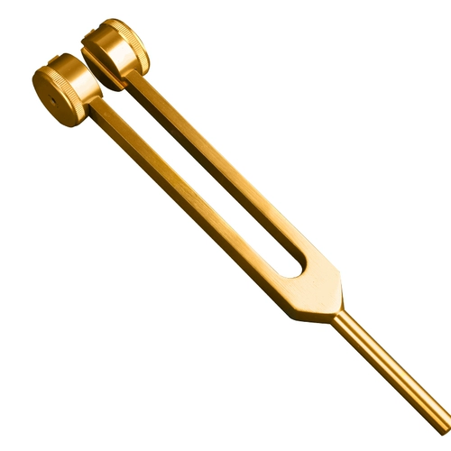 Ушная -до -ир -вилка вагинальная копания