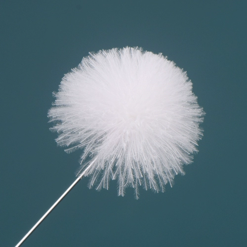 Серебряная игла, ухочистка, профессиональный хвостик, комплект для ушей