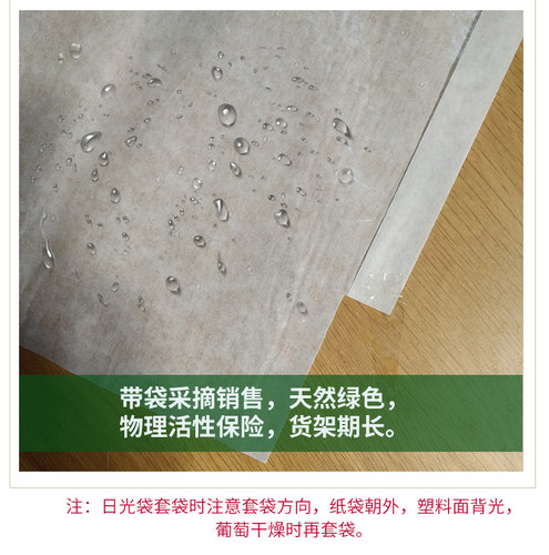 葡萄套袋火龙果莲雾石榴荔枝专用套袋日光袋育果袋保鲜袋 - 图0