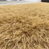 Roof yellow straw, outdoor pavilion decorative thatch, artificial lawn, artificial turf, carpet type artificial thatch