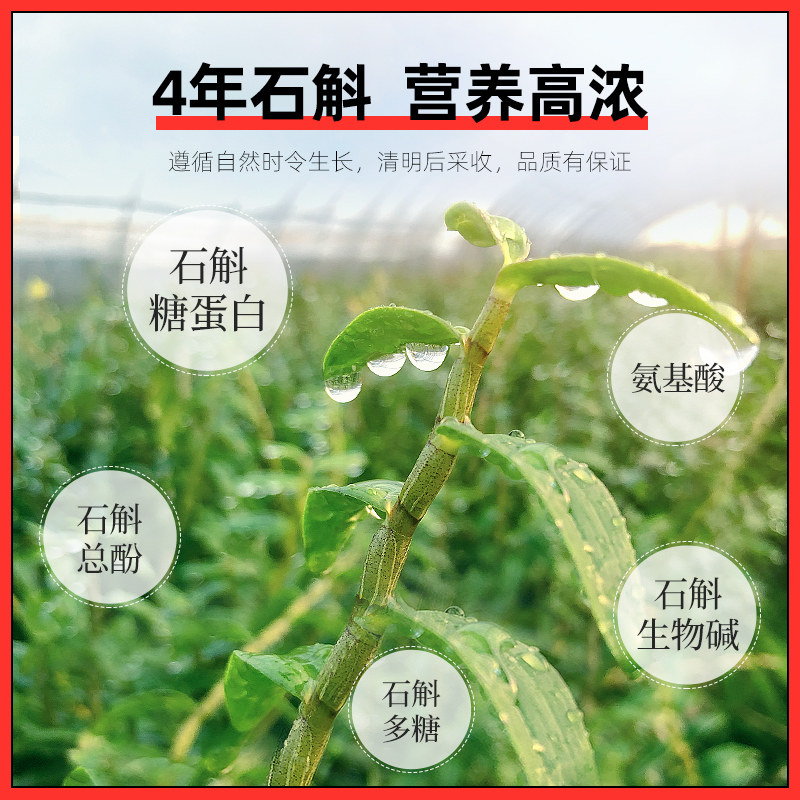霍山铁皮100g礼盒装正品年货节枫斗 阿里健康大药房石斛/枫斗