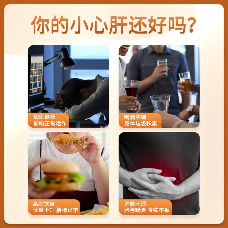 同仁堂养肝片葛根枳椇搭熬夜护肝片 阿里健康大药房其他膳食营养补充剂