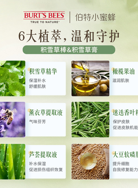 伯特小蜜蜂万用积雪草膏棒紫草膏户外止痒舒缓修护宝宝防虫驱蚊夏